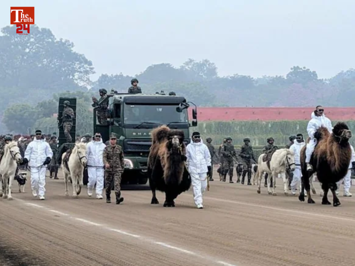 Untitled design (43)