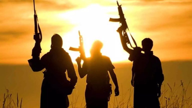 WhatsApp Image 2025-12-23 at 15.03.41