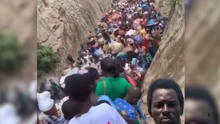 WhatsApp Image 2025-12-25 at 12.02.16