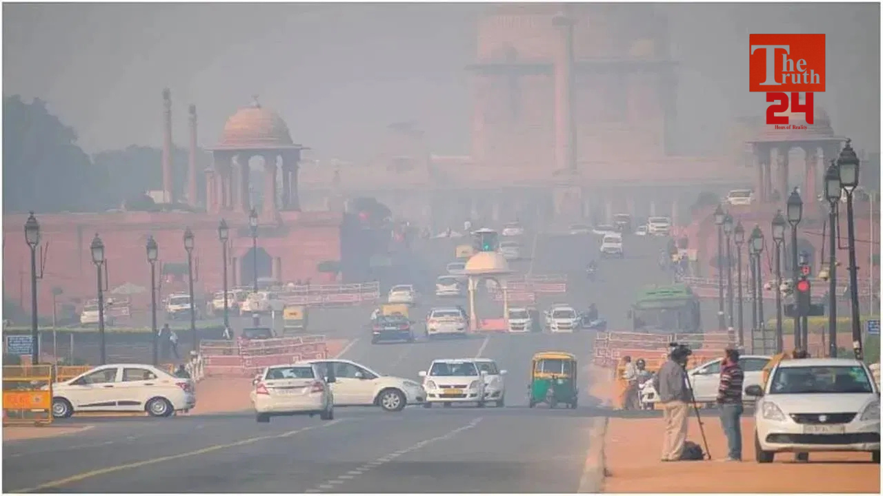 Zuume Rough Bold (8)