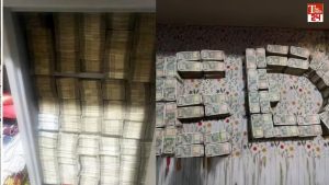 WhatsApp Image 2026-01-17 at 6.14.18 PM