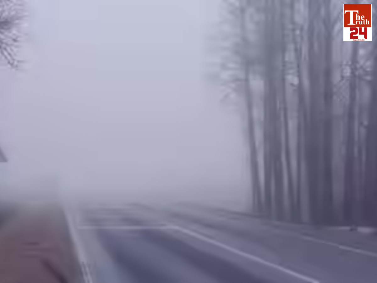 winter weather pic