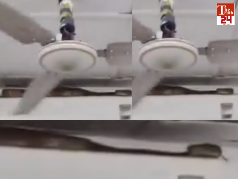 7 feet long snake on ac viral video on social media