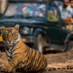 Jim corbett national park