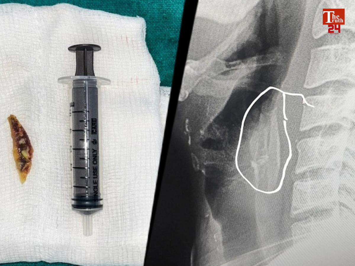 Untitled design_20260203_110148_0000