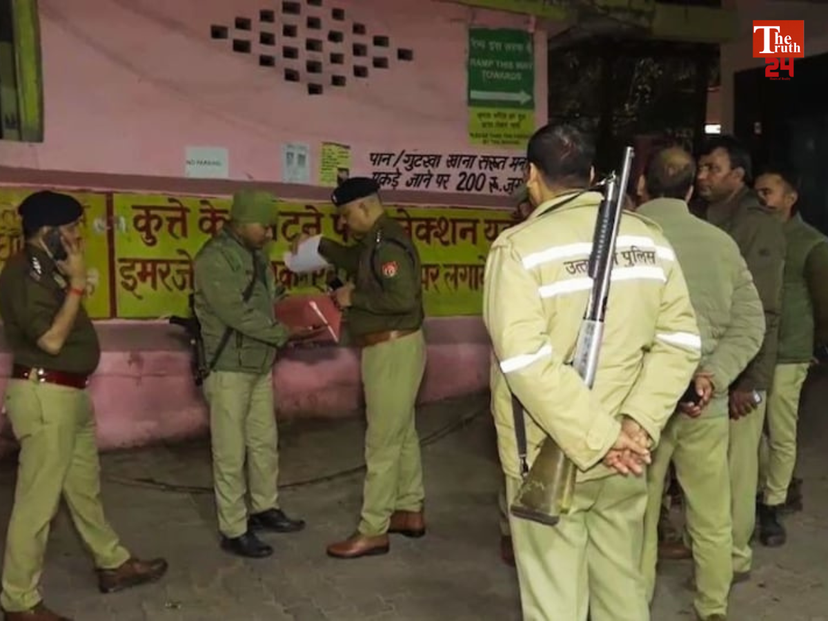 Untitled design_20260208_115058_0000