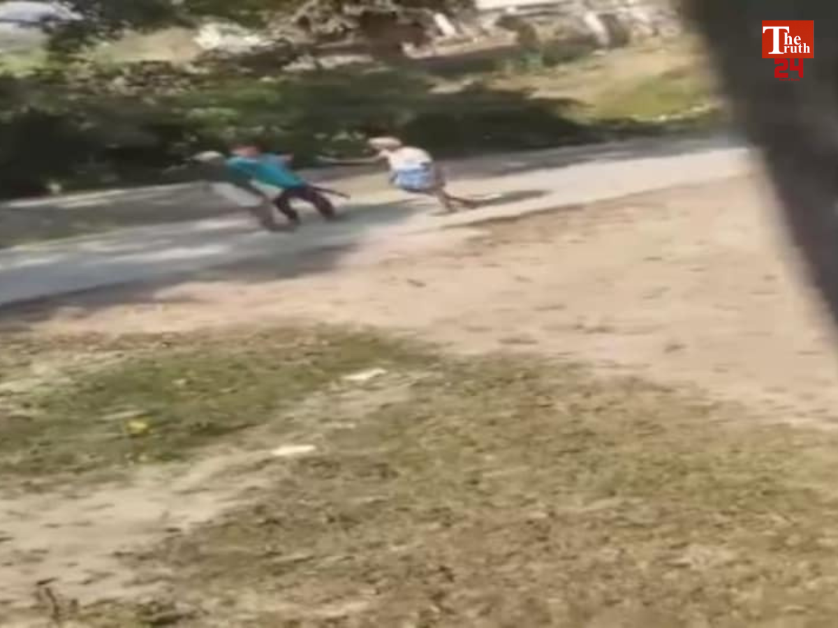 Untitled design_20260215_121327_0000