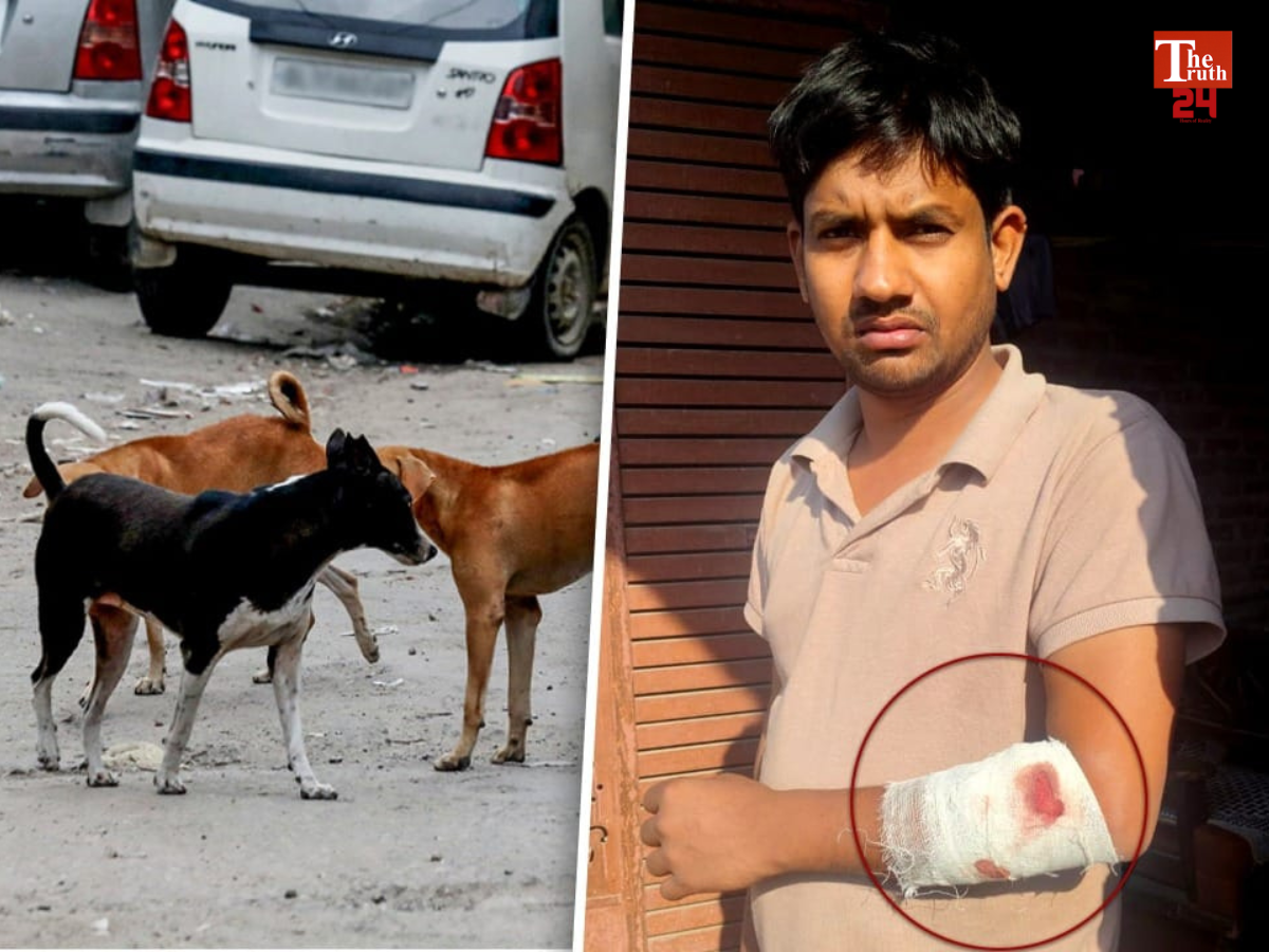 Untitled design_20260215_133721_0000