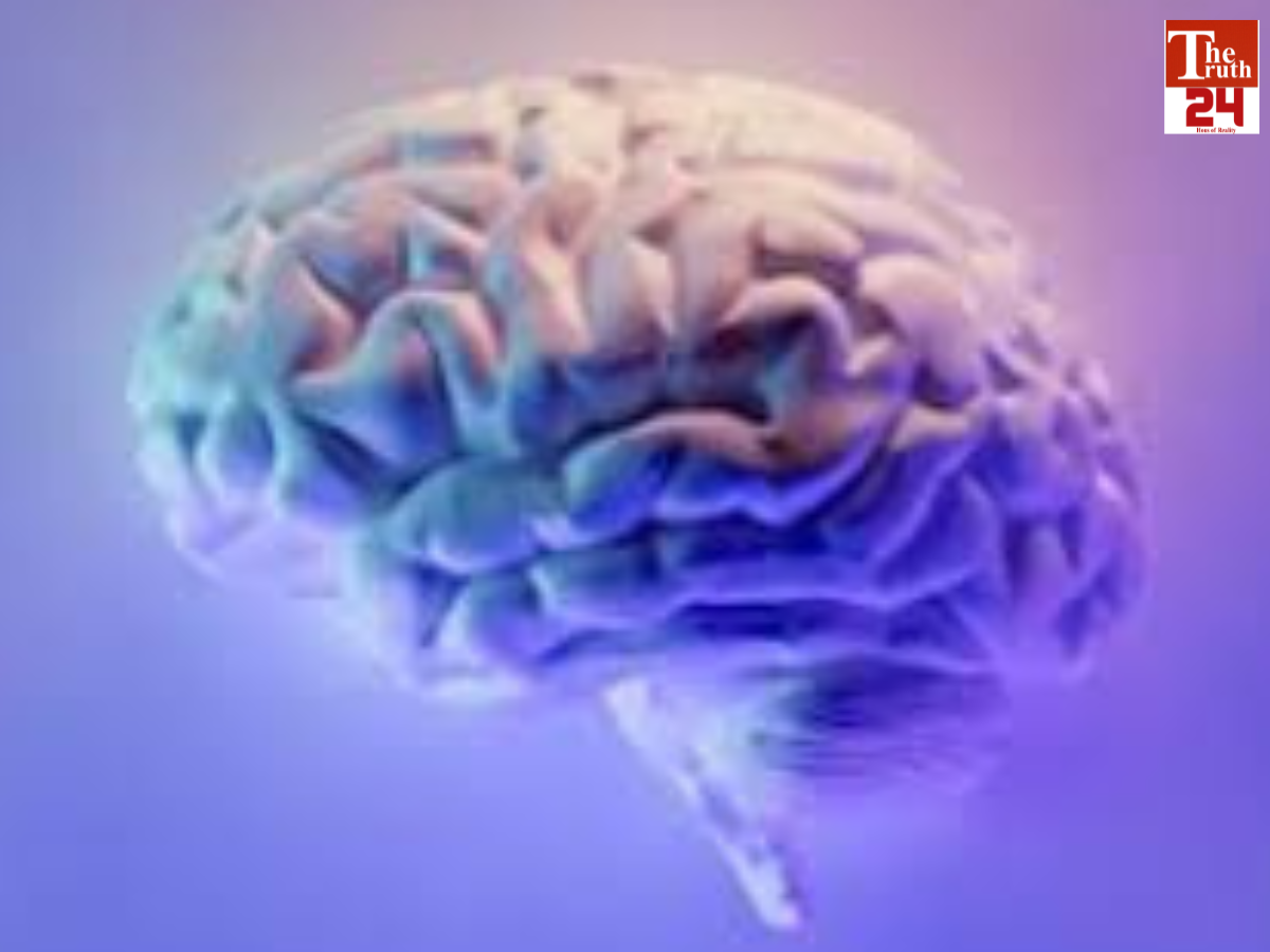 brain pic