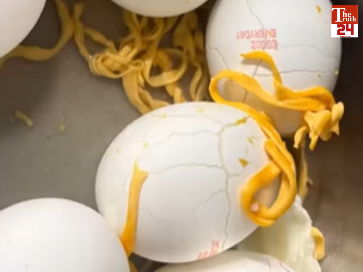FAKE EGG VIRAL VIDEO