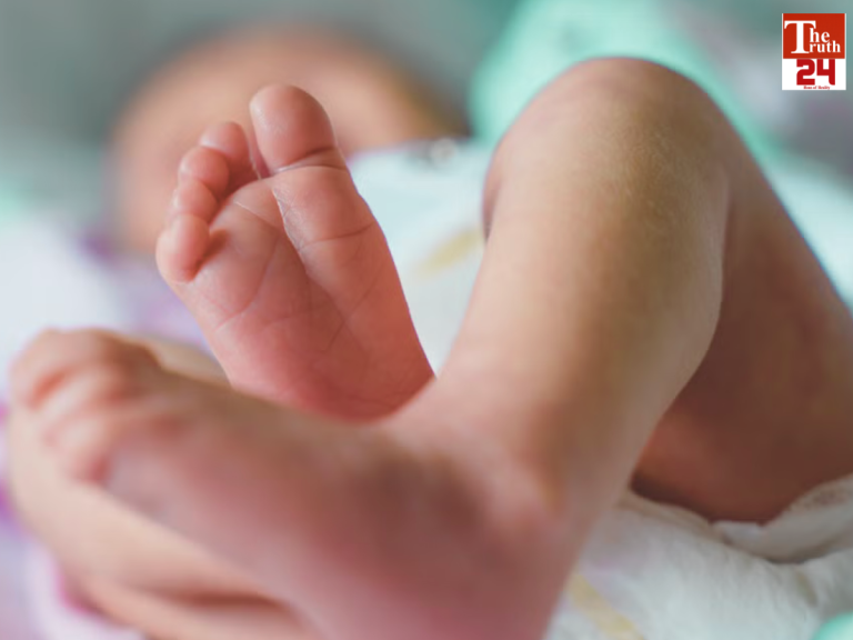 new born in dog mouth