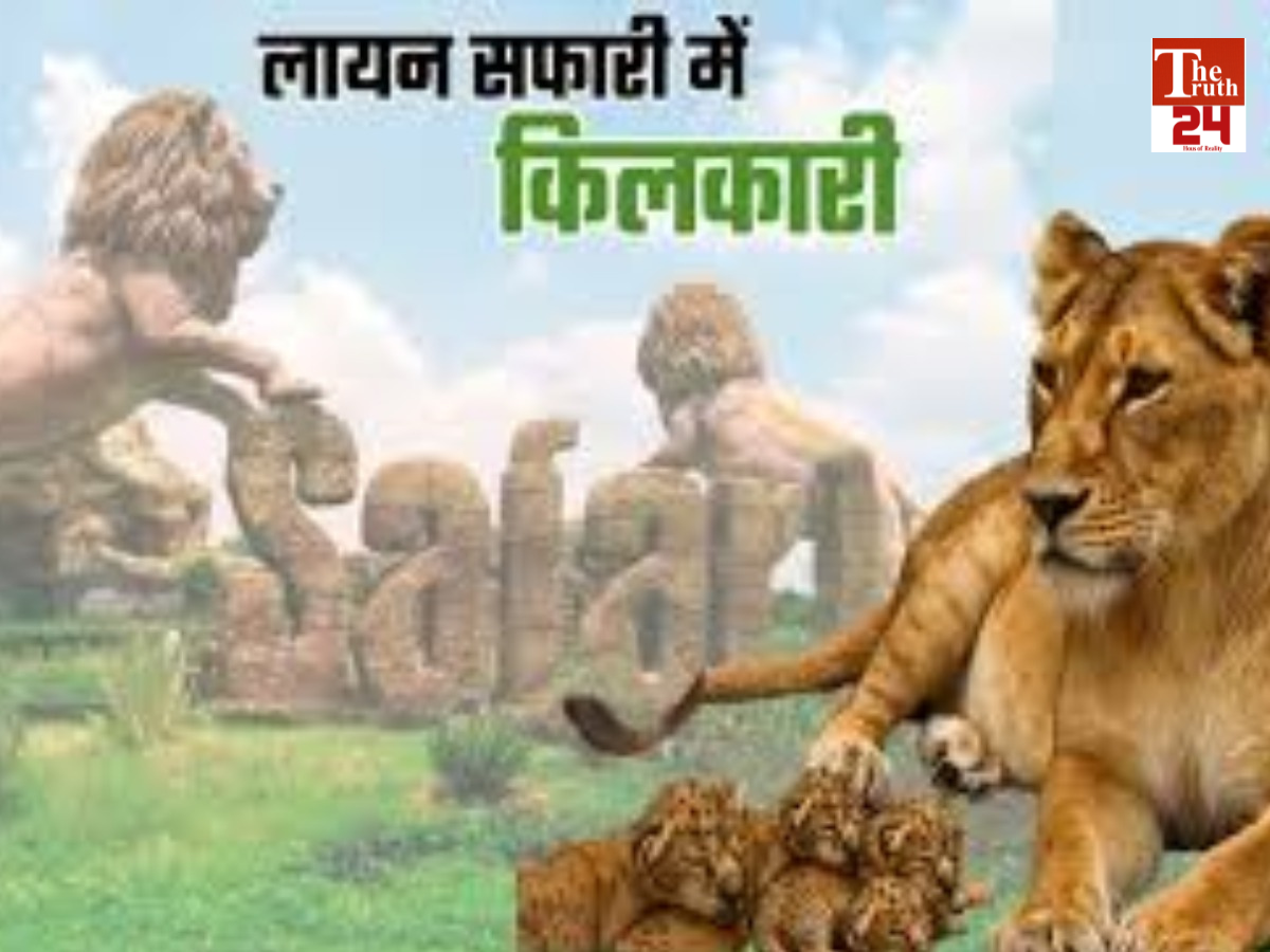 Good news again in Etawah Lion Safari Park lioness neerja gave birth four cubs