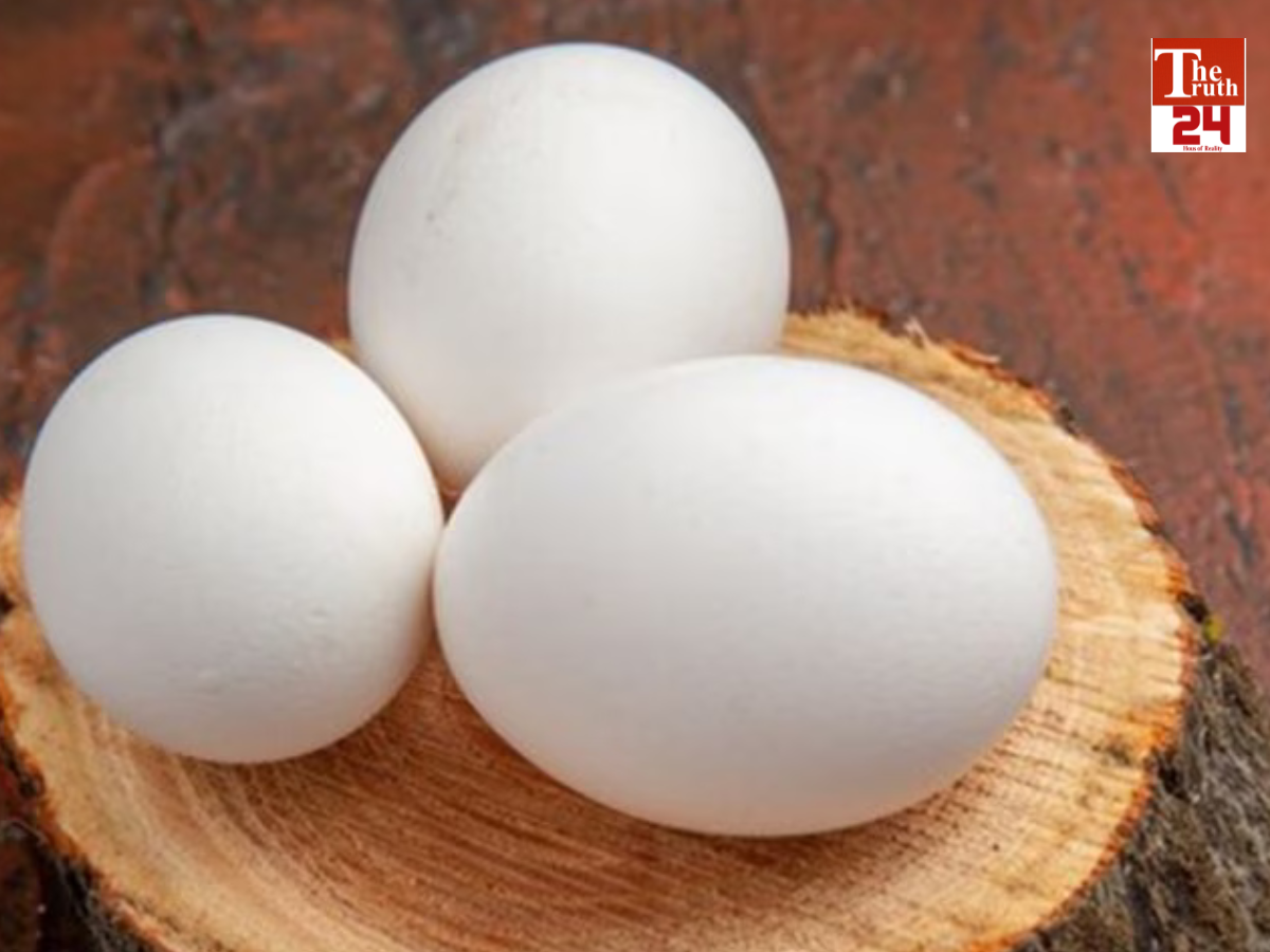 Middle East war raised concerns for poultry farmers Egg prices have plummeted