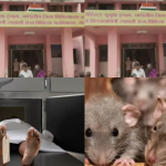 Mirzapur mortuary negligence rats chewed dead body up