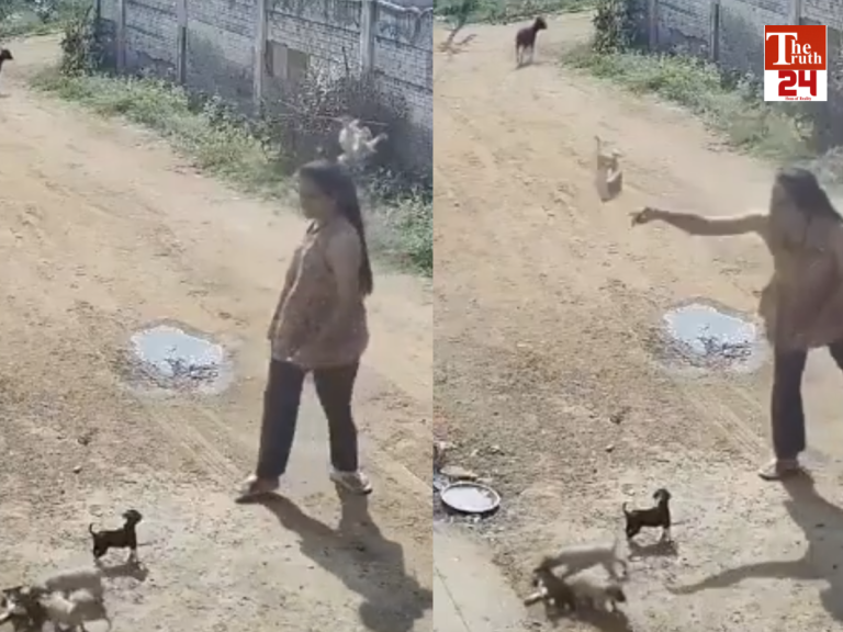 social media women throws puppy against wall viral video