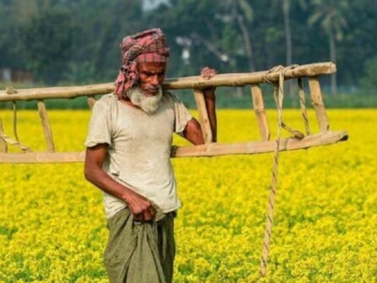 PM Kisan Update Farmer registry mandatory in Uttarakhand 46000 farmers not get PM Kisan Nidhi