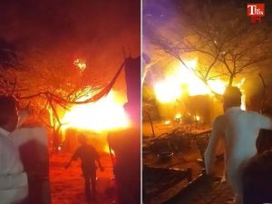 Datia forest fire