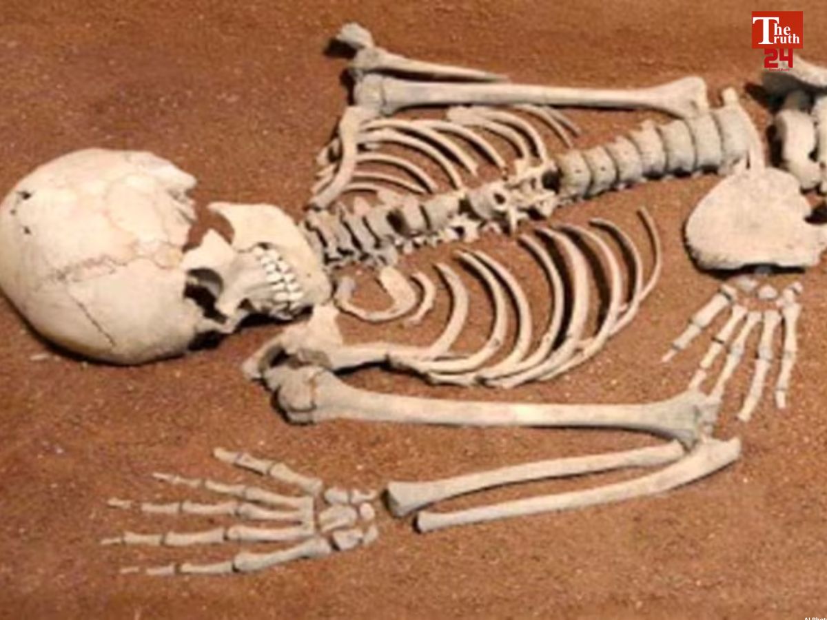 Palghar skeleton case