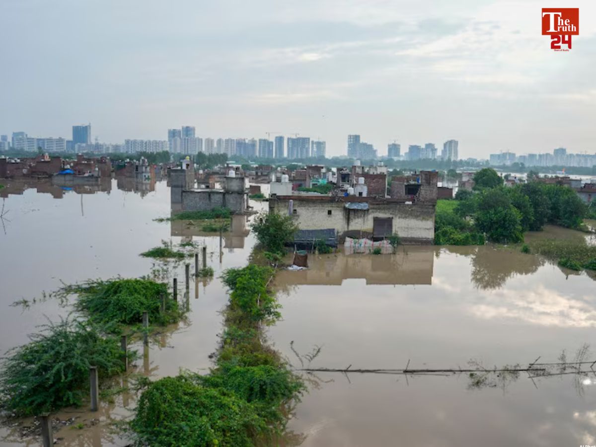 Yamuna O-Zone action