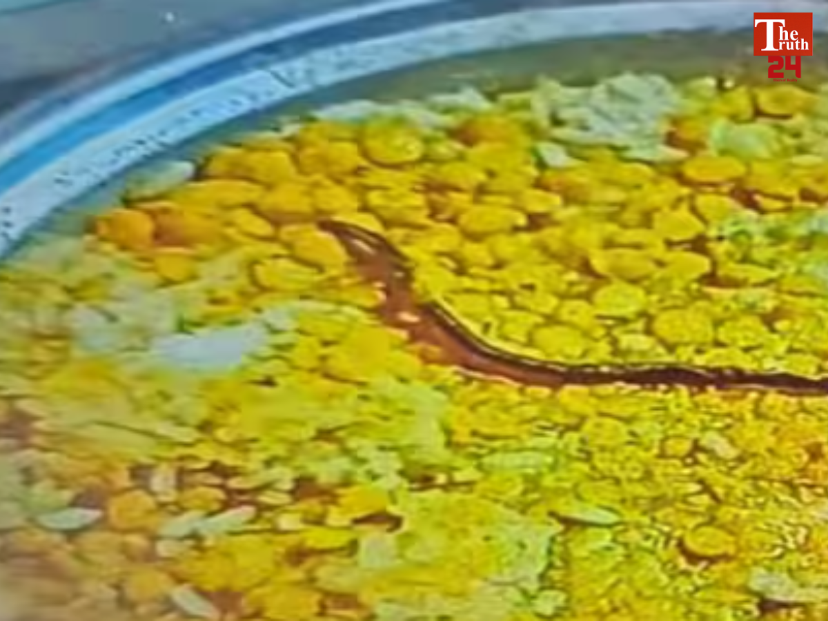 bihar snake found in mid day meal saharsa rjd attacks bjp