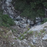 himachal tourist car crash in chamba road 9 dead