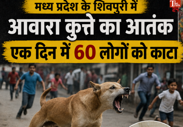 madhya pradesh stray dog attacks 60 people in one day shivpuri