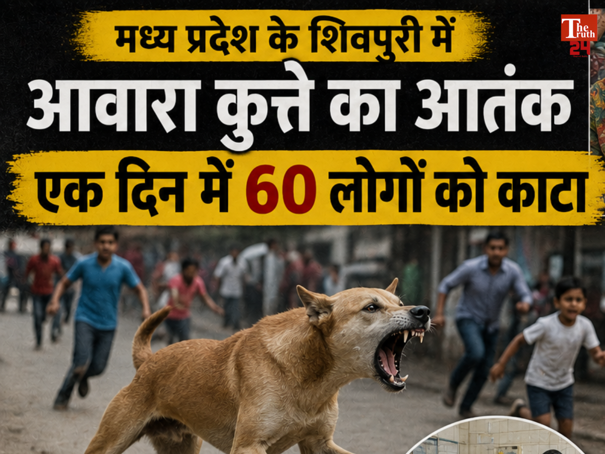 madhya pradesh stray dog attacks 60 people in one day shivpuri