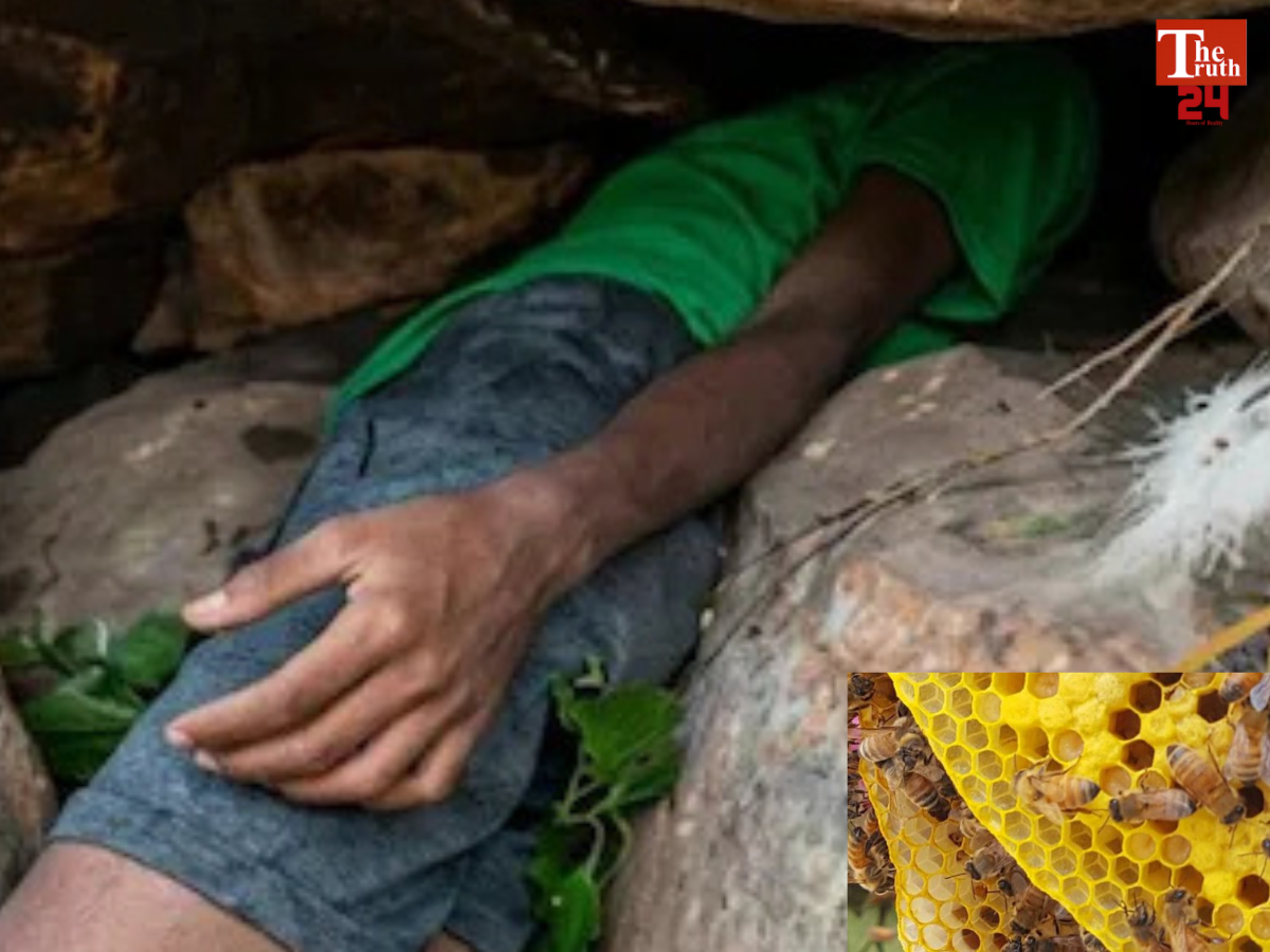 nayagarh honey greed man stuck in rock rescue odisha