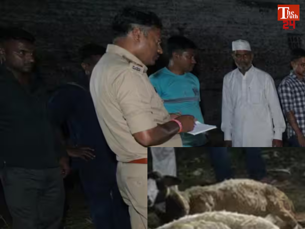 saharanpur stray dogs killed 110 sheep dog terror