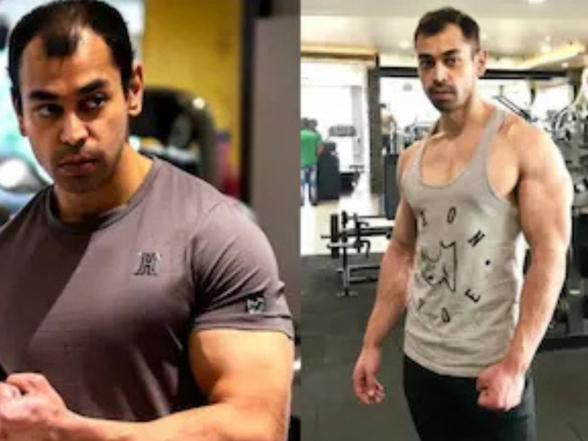 yogi (37)