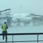 IGI airport incident