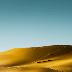sahara desert 49 people died of thirst niger