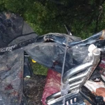 uttar pradesh tree falls on e rickshaw five killed firozabad