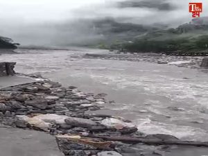Shimla Rain News