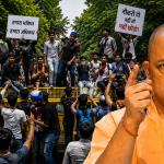 up yogi